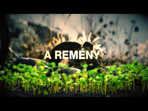 POWER-Uj Eden Mosonmagyarovar youtube