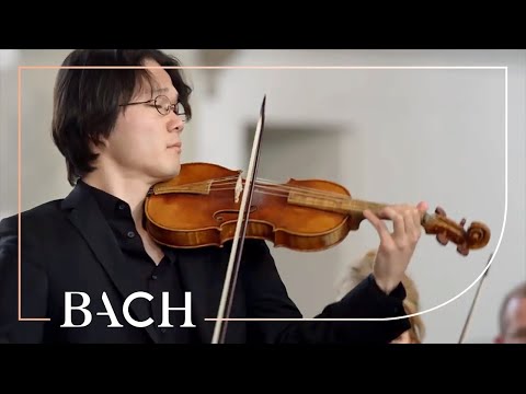 A bocsánatkérés legszebb módja. youtube