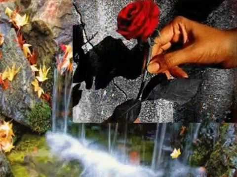 Búcsúzom  töled  youtube