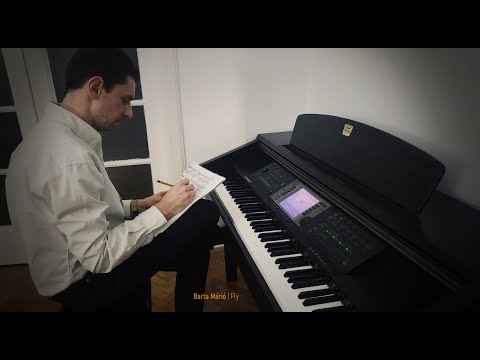 Én játszom. Fly (The Intouchables soundtrack) youtube