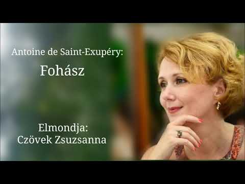 Szeretem :)  youtube