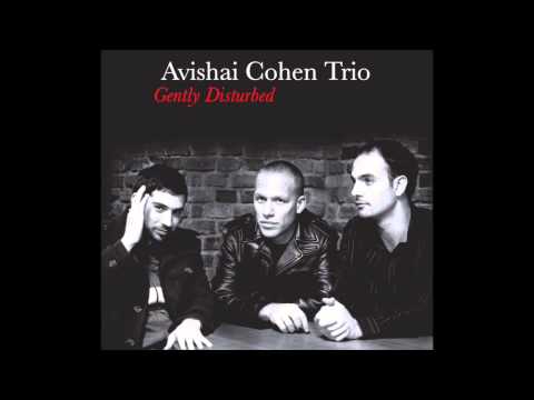 Avishai Cohen Trio - Eleven wives youtube Avishai Cohen Trio - Eleven wives youtube