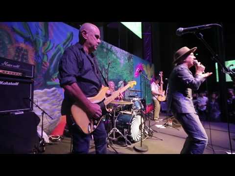Dave Graney - Night of the Wolverine youtube