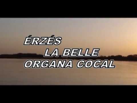Ez egy saját videó. :) youtube