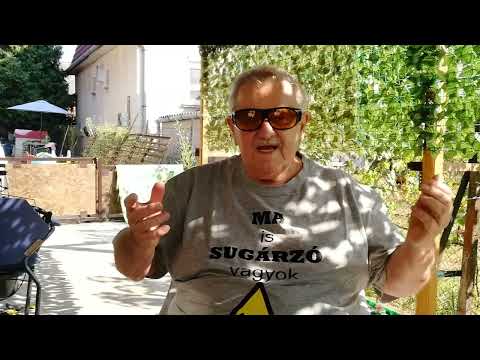 Bemutatkozás youtube