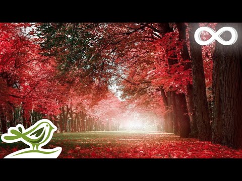 relax... youtube