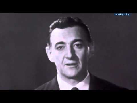 Kedvenceim közé tartozik youtube