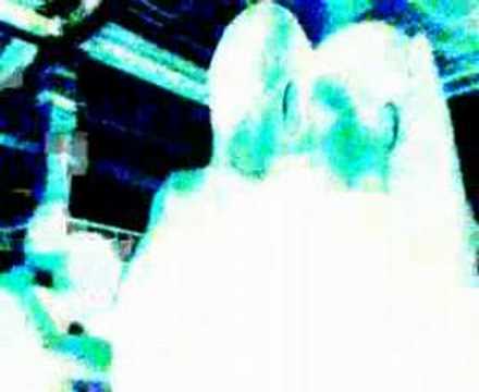 Otros Aires: Percanta youtube