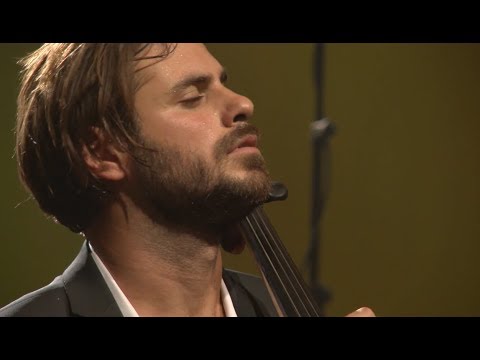 Hauser youtube
